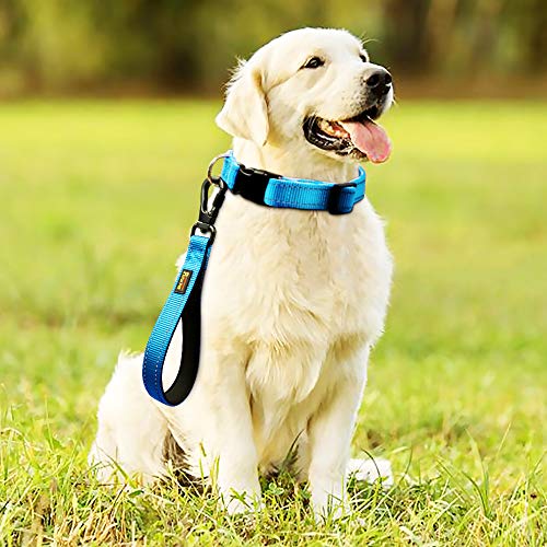 PLUTUS PET 10” Short Dog Leash, Reflective Nylon Padded Handle, Strong Traffic Leash with Carabiner Clip, Perfect for Large or Medium Dogs（10”，Blue | Reflective, Heavy Duty Strong Nylon, Traffic Leash with Carabiner Clip for Training Walking (10", Light B