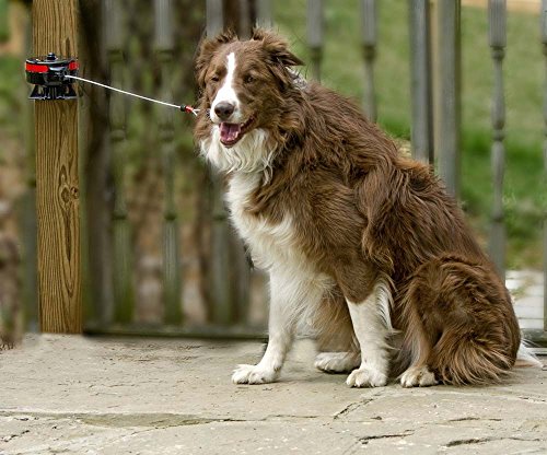 Lixit® Bracket Mount and Stake Retractable Leash Tie Outs for Dogs (Large (Pack of 1), Bracket) - size: Large