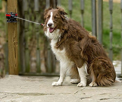 Lixit® Bracket Mount and Stake Retractable Leash Tie Outs for Dogs (Large (Pack of 1), Bracket) - size: Large