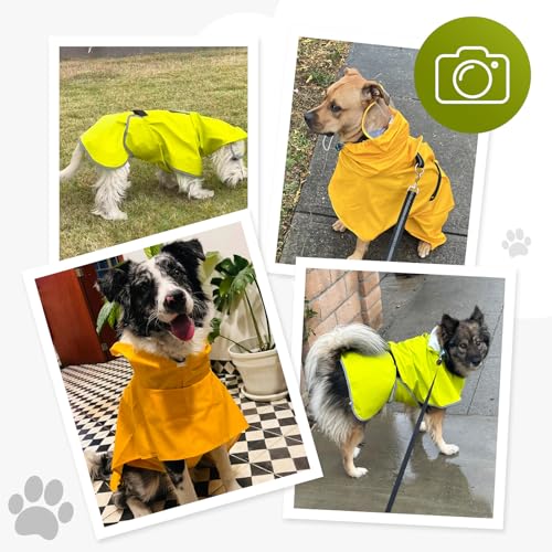 Dog Raincoat,Dog Rain Jacket Poncho with Hood and Leash Hole(Green,M) | Windproof,Waterproof,Leash Loop,Adjustable - color: Neon Green, size: M(11-16lbs)