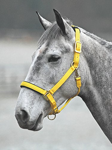 Shires Topaz Leather Breakaway Nylon Headcollar - color: Yellow, size: X-Small Pony