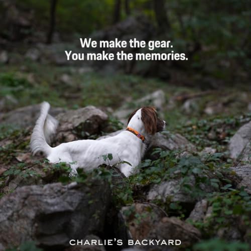 Charlie’s Backyard Teton Dog Collar, Urban to Trail Lightweight & Adjustable with Quick Release DURAFLEX Buckle, Durable D-Ring & All-Day Comfort, Autumn Glow, Small - color: Autumn Glow, size: Small