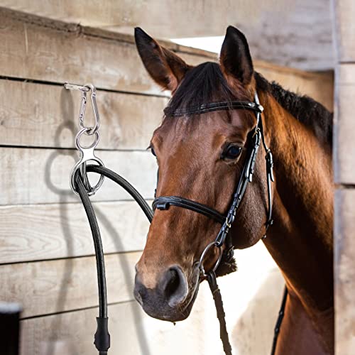 Dunzy 2 Sets Horse Tie Ring, Horse Tack and Supplies Horse Training Equipment Safe Horse Accessories with Eye Bolt, Tie Rings (Silver)