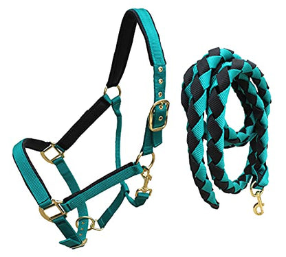 Nylon Horse Neoprene Padded Halter Brass Hardware Horse Tack Equine 606173 - color: Teal