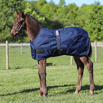 STORM SHIELD Euro Fit Bellyband Foal Horse Turnout Blankets | Mini Horse Blanket | Turnout Blankets for Horses Waterproof | Foal Blanket | Winter Horse Blankets - size: 30 - 36