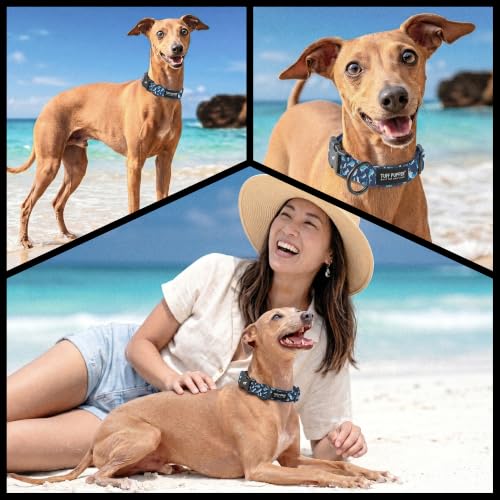 Tuff Pupper Premium Adjustable Dog Collar, Stylish Pattern Collars Designed in USA, Quick Release Buckle, Shark Tide Small (0.7 Inch Wide x 8-12 Inch Neck) - color: Shark Tide, size: Small
