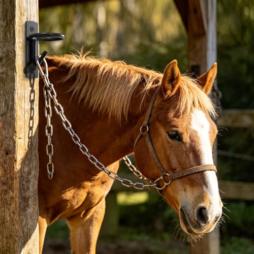 Black Metal Horse Stall Bucket Hanging Hooks