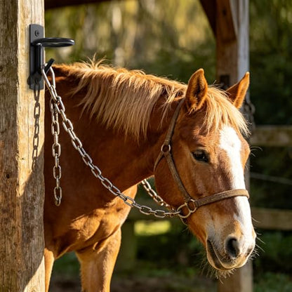 Black Metal Horse Stall Bucket Hanging Hooks