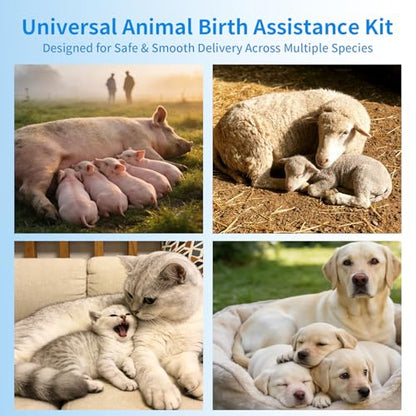 Animal Birth Kit: Clamps, Hemostat, Feeding Tube & Collars for Puppies | Complete kit for puppies, kittens, lambs. Includes 15 clamps, scissors, bulb syringe. Trusted for farm & home use.