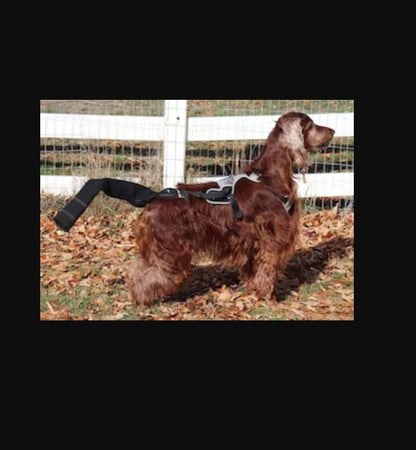 Tail Guard & Harness Set - Veterinary Dog Tail Protector & Injury Wrap, Size Small - size: S