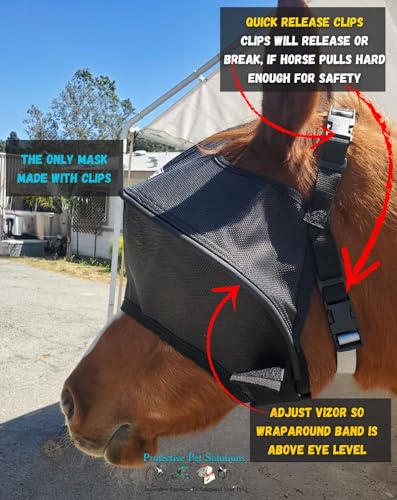 EquiVizor Solar Vizor Horse Fly Mask (Size Pony), 100% UV Eye Protection for Horses with Uveitis, Photosensitivity, Ulcers, Head Shaking, Eye Injuries. Also Available in Mini, Pony, Cob, Full, XL - size: PONY