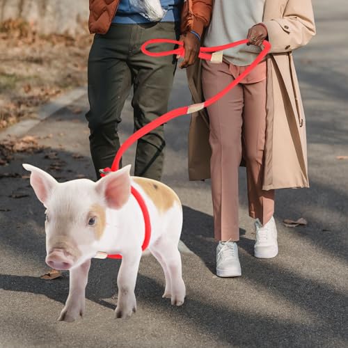 Mini Pig Harness & Leash, Adjustable 8 Feet Long Rope for Small to Medium Pet Pigs - color: Red