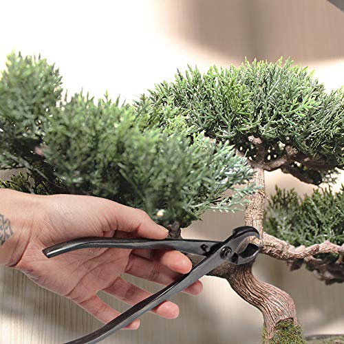 BambooMN Bonsai Tool Kit - 8" Concave Cutter & 8" Knob Cutter - 3 Sets - color: Concave Cutter & Knob Cutter Set, size: 3