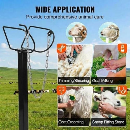Adjustable Goat Milking Stand 47x23in 500LBS Capacity Heavy Duty | Headpiece & Nose Loop, Height Adjustable, Multi-Purpose