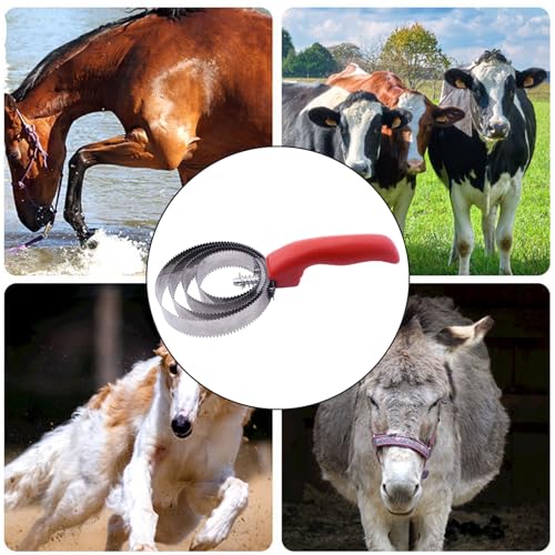 RUIAN Reversible Stainless Steel Curry Comb Soft Touch Grip Horse Comb, Red