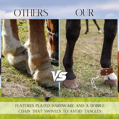 Horse Hobbles Kicking Chain, Leather Single Leg Hobble Heavy Duty Anti Kick Design, Stainless Steel Chain for Secure Horse Training & Grazing, for Stallions, Geldings, Mares