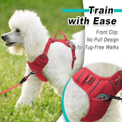 BARKBAY Dog Harness for Small Sized Dog No Pull Mesh 2 Clips Dog Vest - color: Red-Mesh, size: X-Small