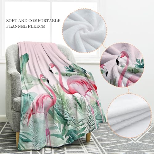 Jekeno Flamingo Gifts Blanket Tropical Palm Leaves Throw Blanket - color: Flamingo Pink 1, size: 50"x60"