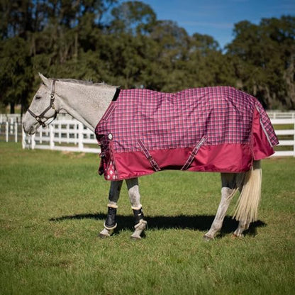 Equinavia Arktis Regular Neck Heavy Turnout Blanket 300g - Cranberry Red - 72 in - color: Cranberry Red, size: 72 in