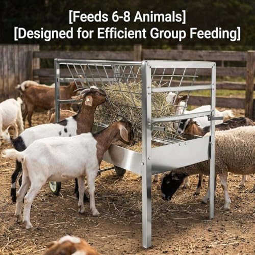 for Goats Sheep and Lambs Livestock Feeder, 2 in 1 Hay and Grain Freestanding Unit, Galvanized Steel Farm Feeder for Barn Pasture, Multi-Species Feeding Station