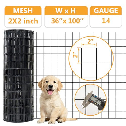 PVC Coated Welded Wire Fencing,2"x2" 14GA Coated (16GA Bare),36inch H x 100ft L Garden Wire Fence Roll,2/3/4/5/6ft Tall x 100 ft Long Vinyl Coating Metal Wire Mesh for Yard,Farm,Dog,Vegetable - color: Black, size: 14GA 2x2 36"x100'