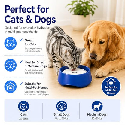 Blue No Spill Dog Water Bowl, Pet Floating Water Bowl No Wet Mouth, Anti Splash & Anti Tip Slow Water Feeder, Keeps Fur Dry Clean Drinking Bowl for Dogs & Cats, Large Capacity Travel Friendly - color: Blue, White