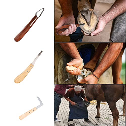 64 Pcs Farrier Tools Kit