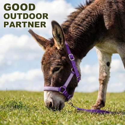 1 Set Mini Donkey Halter with Lead Rope Adjust, Purple - color: Purple