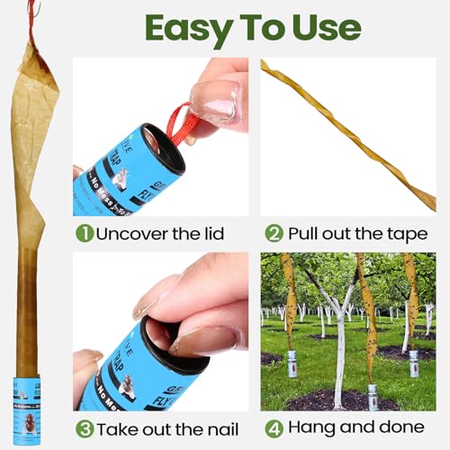 Qualirey 80 Pack Fly Strips Sticky Fly Trap Indoor Outdoor Hanging Ribbon Tape Paper Flying Insect Trap Gnat Killer Traps Catcher for Fruit Flies, Bug, Insect, Pest(Light Blue) - color: Light Blue