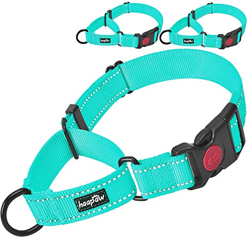 haapaw Martingale Dog Collar with Quick Release Buckle Reflective Dog Training Collars for Small Medium Large Dogs (Turquoise, Medium) - color: Turquoise, size: Medium