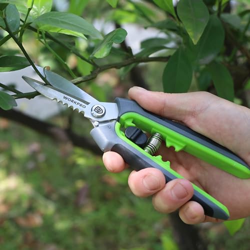 WORKPRO 8" Pruning Shears for Gardening, Multipurpose Garden Shears | Stainless Steel Blade with Sheath, Straight Pruning Scissors Garden Snips for Flowers, Fruits & Vegetables
