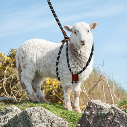 Goat Harness & Leash, Adjustable Step-in Sheep Harness, Goat Accessories, Livestock Halter Supplies for Goats and Sheep (Extra Large) - size: Extra Large