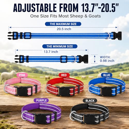 5 Pack Reflective Goat Collars with Bells,Anti-Lost Pet Collar - color: Black+Red+Pink+Deep Blue+Purple