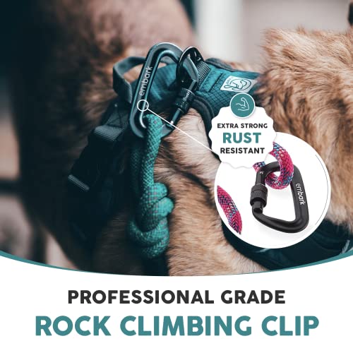 Embark Dog Leash - Heavy Duty Tough Nylon Training Lead for All Dog Breeds | Mountain Climbing Rope with Heavy Duty Locking Carabiner - Strong & Durable Nylon Pet Leash - 6 FT - Pink - color: Pink