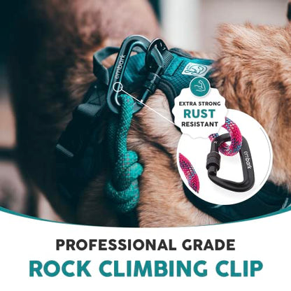 Embark Dog Leash - Heavy Duty Tough Nylon Training Lead for All Dog Breeds | Mountain Climbing Rope with Heavy Duty Locking Carabiner - Strong & Durable Nylon Pet Leash - 6 FT - Pink - color: Pink