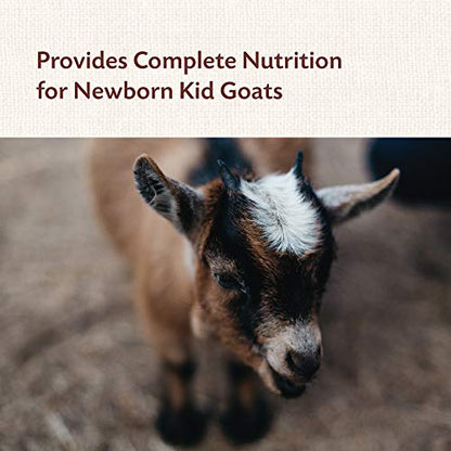 Manna Pro Goat Kid Colostrum Supplement with Vitamins, 8 oz | Colostrum Supplement for Newborn Goat Kids, Supports Healthy Development, Fortified with Vitamins & Minerals - size: 8 Ounce (Pack of 1)