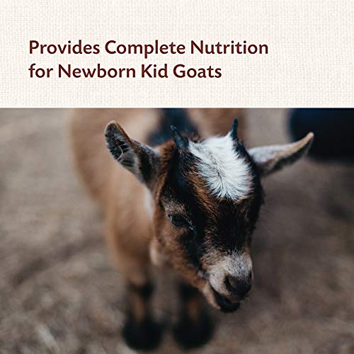 Manna Pro Colostrum Supplement for Newborn Goat Kids | Fortified with Vitamins and Minerals | Helps Promote Healthy Development | 8oz (Pack of 4) - size: 8 Ounce (Pack of 4)