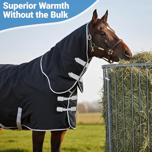 Winter Turnout Horse Blanket Waterproof 200g Fill,75 Size | 600D Tear Rip Resistant Shell, Snowproof Breathable Design, Adjustable Chest Leg Straps for Real Horses in Winter Weather - size: 75 Size