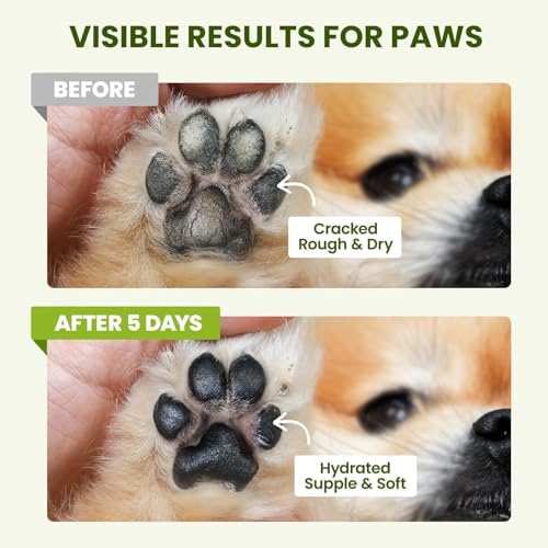PawSono Lick-Safe Dog Paw & Nose Balm with Coconut Oil - size: 2.1 oz (Pack of 2)