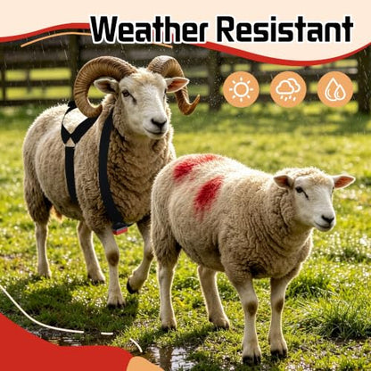 Replacement Marking Crayon Blocks for Ram Breeding Harness (Red) - color: Red