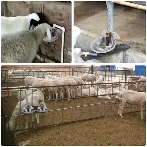 Stainless Steel Sheep Automatic Water Drinking Bowl Drinking Troughs,Livestock Water Bowl with Copper Valve,Automatic Waterer for Goat Calves Cattle Pig Dog Piglets