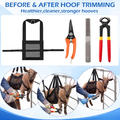 8Pcs 8" Farrier Tool Kit, Hoof Rasp Nipper Trimmer Brush Calf Sling - style: Complete Hoof Care Kit