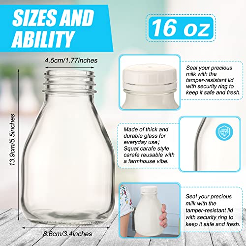 Patelai 6 Pack 16oz Glass Milk Bottles with Lids