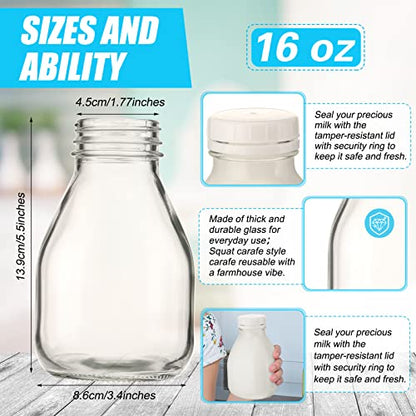 Patelai 6 Pack 16oz Glass Milk Bottles with Lids