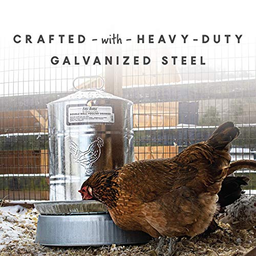 Harris Farms Double Wall Poultry Drinker|Automatic Poultry Water|5 Gallons