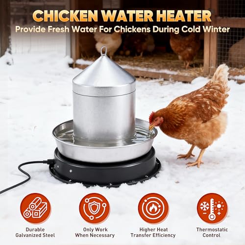 Eggluuz Chicken Water Heater for Winter, 110 Watt Chicken Drinker Heated Base 11 in Chicken Waterer Heater with Thermostat
