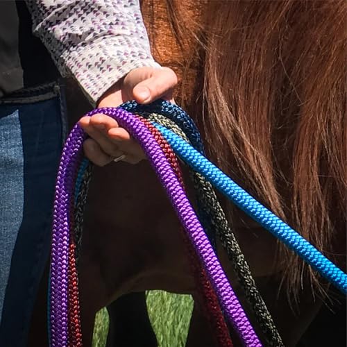 PARELLI 22 Foot Line Ground Training Rope - Strong Everyday Use All-Purpose Large Horse Lead Rope with Loop & Latigo Popper | 9/16" Diameter Smooth Yachting Braid, Green - color: Green