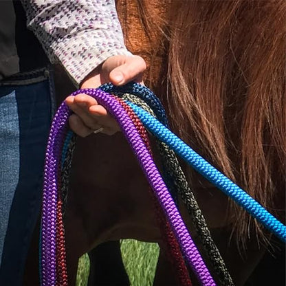 PARELLI 22 Foot Line Ground Training Rope - Strong Everyday Use All-Purpose Large Horse Lead Rope with Loop & Latigo Popper | 9/16" Diameter Smooth Yachting Braid, Black - color: Black