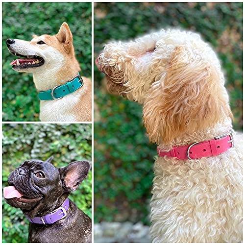 Tuff Pupper Heavy Duty Waterproof Dog Collar for Small, Medium & Large Dogs - color: Punch Pink