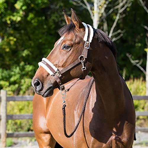 HORZE Howard Soft Fleece Horse Halter, Premium Padded Fleece Lining - color: Dark Brown, size: Warmblood